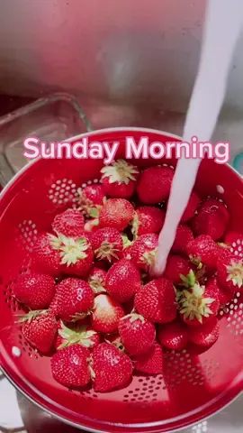 A little house refesh today. Out with the old to prepare for the new! #sundayfunday #mealprep #dailyvlog #MomsofTikTok #momlife #momtok #sahm #orlandomom