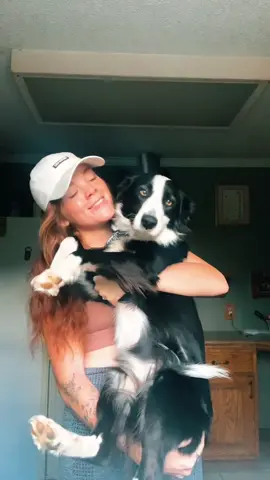 Love my lilli girl 💗 #fyp #dogtiktok #australianshepherd #greenscreen #PostitAffirmations