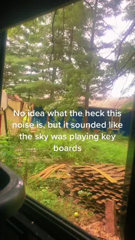 #rvlife #spooky #paranormalactivity #foraging #forager #fyp #foryoupage #beprepared #ptsdawareness #ufo #wild #medicinalmushooms #strangerthings #skynoises #growingmushrooms #mushrooms #mycology