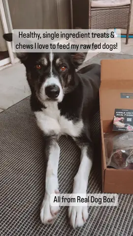 Do you look at the ingredient label when picking out your dogs treats and chews? What do you look for? #rawfeddog #DogTraining #PostitAffirmations