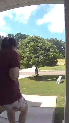 Don’t say “walk” unless you mean it. 🐶💥#FailArmy..#dogs #fail #funny #funnyfail