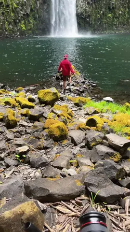 Chasing waterfalls not on a Wednesday #chasingwaterfalls #oregonhikes #pnwlife