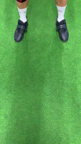 #scrbaksaurus