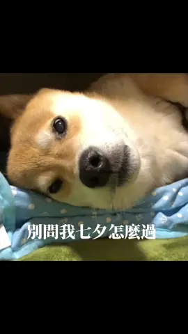 標記身邊那位七夕一個人過的朋友 #別問我七夕怎麼過 #有共鳴 #七夕 #情侶 #搞笑 #流量動起來 