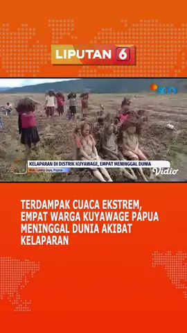🥺🥺 #liputan6sctv #sctv #berita #fypindonesia #fyp #tiktokberita  #cuacaekstrem #papua #kelaparan