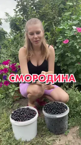 Хорошо в деревне летом… продолжи?