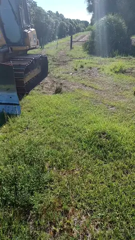 #heavyequipment #canallife #bluecollarlife #dirtlife #bluecollarboys #fyp #dozerlife @aurelioargote75 @dwayneyoung10