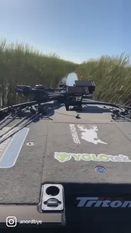 Gotta risk it for the biscuit!! (Giant Bass) @Laker and I both caught our PBs the same day!! 12.01lbs and his was 11.50lbs!! God is good! #fishing #fish #bassfishing #bass #bassboat #boat #boating #boatlife #boats #lake #lakelife #water #florida #floridalife