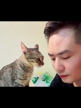 😊😊 #pet#cat#foryou#fpy