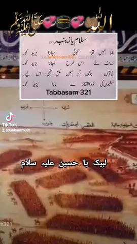 #حضرت_سیدہ_بیبی_زینب_سلام_اللہ_علیہ_ #foryou #foryoupage #لبیک_یا_حسین_علیہ_سلام #fypシ #tabbasam321 #☝🏽💞🕋💞🤲🏽 #کربلا