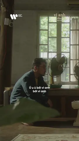 MV 