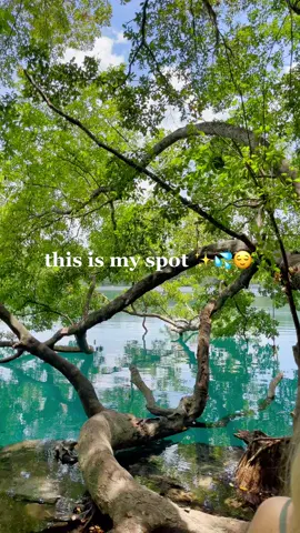this cenote is such a special place. multiple times a week, reconnecting with nature & my inner child 🌿💦 #nourisheveryyou #cenote