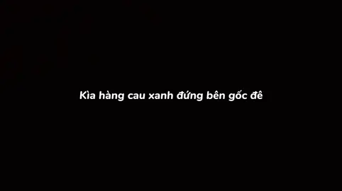Đêm qua trong giấc mơ ôi lạ kỳ... #xuhuong #sharechu #xh #lyrics #xuhuongtiktok