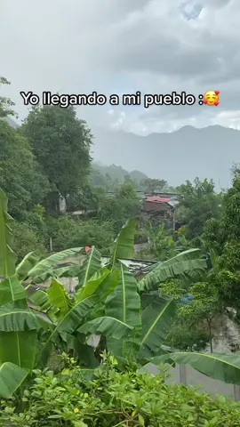 #pueblo #rancho #tamazunchale #sanluispotosi🌵🇲🇽 #taman  yo llendo a visitar a mi pueblo ❤️😇