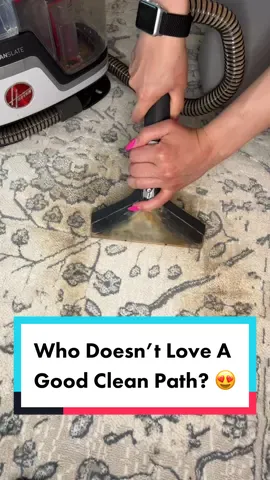 Honestly who doesn’t love a good clean path?😍🫧 #cleaning #cleaningproducts #CleanTok #asmr #findyourgrace #carpetcleaning #cleanpaths #dirt #chrissywakeup #shrek #allstar