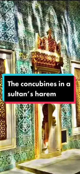 Thinking about doing a series on the sultanate of women? #repost #history  #womenshistory #ottomanempire #royalhistory #historytok #fy #fyp