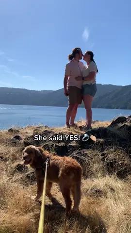 @Amanda beyond honoured to be a part of your special day! Inspired by your love 🥹 #proposalvideo #engagement #wedding #goldenretriever #goldenpuppy #trending #puppiesoftiktok #dogsoftiktok #dogtok