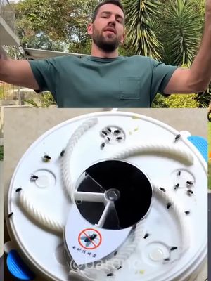 Testando a armadilha de moscas viral da internet 🚫🪰😱 #barone #teste #aliexpress #amazonfinds #aliexpressfinds #viral
