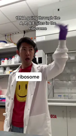 this is exactly how proteins are made 😌