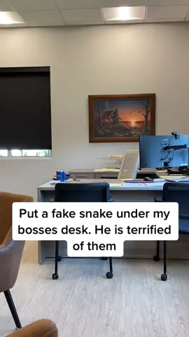 My boss hates me😂 #fakesnakeprank #fired #imdead #funnyaf #hehatesme