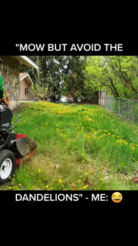Unreal customer expectations #fyp #lawncare #satisfyingvideo #capcut #relaxing