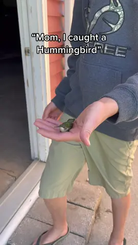 We don’t know how long the hummingbird was in the pole barn. The doors were open but it couldn’t find its way back outside.  Just glad my son was able to get the hummingbird out and for it to be ok. #livingouramericandream #livingthedream #hummingbird #helpinganimals #unexpected