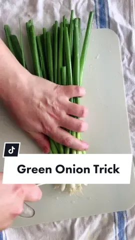 #greenonionhack #springonions #freezerstash #nondietdietitian #nondietapproach #worksmarternotharder #foodstorage