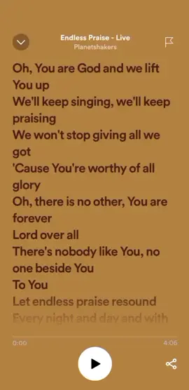Endless Praise by Planetshakers ✨❤️🤍#christian_lyrics #lovely_brxwnie #fypシ #foryou #fyp