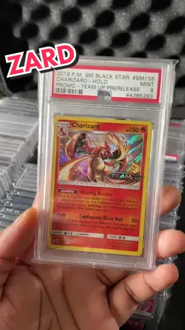 Charizard Holo 😍 #pokemontiktok #pokemoncommunity #pokémon #pokemontcg #pokemonpulls #charizard #charizardcard #charizardhunter