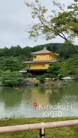 Kinkajuji | 金閣寺                                      #japan #kyoto #kinkakuji #金閣寺 #temple #gold #travel #film #2022