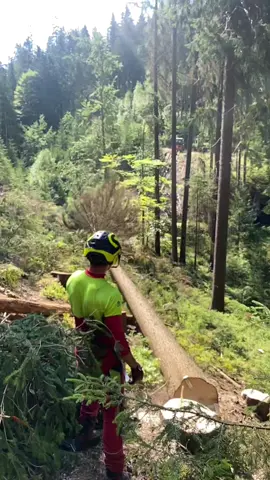 #nature #forest #forestwork #lumberjack #trees #sound #wood #ms500i #deutschland #sk #slovakiaboy #myjob #logger #sky #mountain #rocks #greencolor #fallen #baum #fy #fyp #fypシ @m_uherek @sidysidor @lalikkiko @jurki_6_ @polovnictvo_tazba_dreva_ @Andrej Brejcak