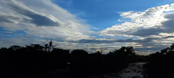 Awash national park