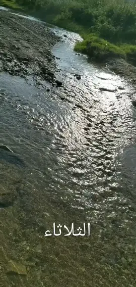 #الخايع
