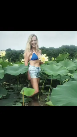 I found the magic #lotus field. I made #peace with myself and others. I walk on the path of #Love #lotusflower #nature #transformation