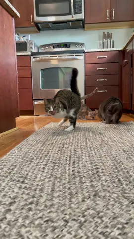 #fypシ
