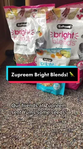#AD Yums eats seeds from Zupreem so he was more than happy to review!  #ZuPreem #NowAtWalmart For more information, go to https://zupreem.com/