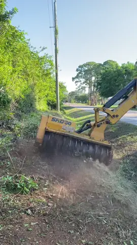 #tractor #johndeere #fpl #mowing #trees #traffic #rightofwayclearing #foresrty #mulchermafia #oddlysatisfying #green #godisgood #timelapse #deere #boommower #mower #equipment #deere #tractorlover #satisfying #cleaning #cleanup #tillnexttime #grass #fyp