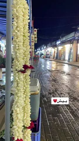 فل ومطر ☔️#جيزان_صامطه_صبيا__بيش #الحدري #اكسبلورexplore