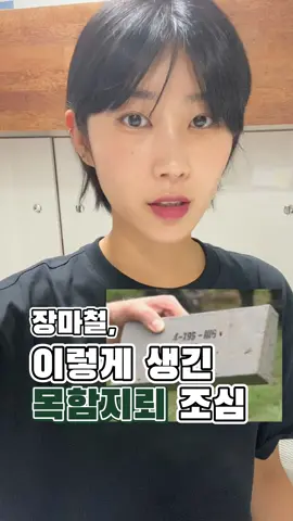 폭우가 지나간 자리도 조심해야함! 이런 나무상자 절대 건들지 마세요! ❌ #지뢰 #에듀톡 #군톡