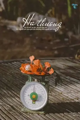 Hạ Thương || Hồ Phương Liên...Ảnh : Phan Ngọc Nhuận#nhacxua #lyricsvideo #lyrics #danca #bolero #66dongthap #dongthapquetoi #xuhuong #xuhuongtiktok #nhachay #nhachaymoingay