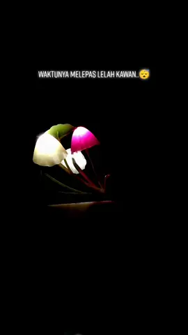 Selamat tidur.....😴 #sheilaon7 #selamattidur #selamatmalam #fyp