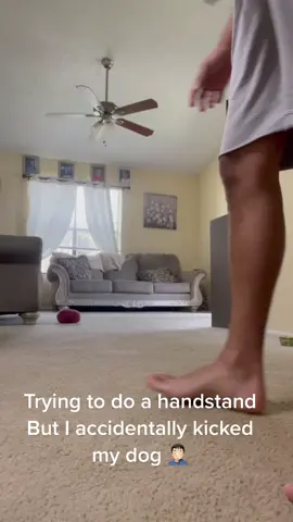 #handstandchallenge #handstand #calisthenics #calisthenicsworkout #poordog #bendito #gonewrong #fyp