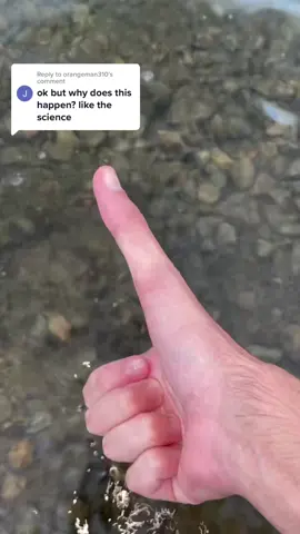 Replying to @orangeman310 Lake Science #longthumb #foryou 