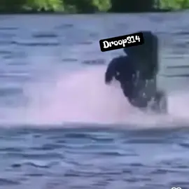 Did he show it who’s boss? 😂 #Droop314 #Fyp #ForYouPage #Funny #Hilarious #LOL #VoiceOver #VoiceOvers #Laugh #gorillasoftiktok #nature #animals
