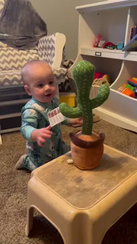 He’s finally got the hang of it! #babytiktok #dancingcactus🌵🌵🌵❤️❤️❤️