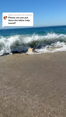 Replying to @marvel.fan_07 helpppp! Fyi, maui is completely ok but we dont go to this beaxh anymore because this high wave. #goldenretriever #wave #fatherhelp