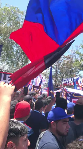 Se abre el portón y todos se vuelven locos🤪💙❤️🤘 #udechileoficial #lda #losdeabajooficial #barras #barrabrava #banderazo 🦁💙❤️