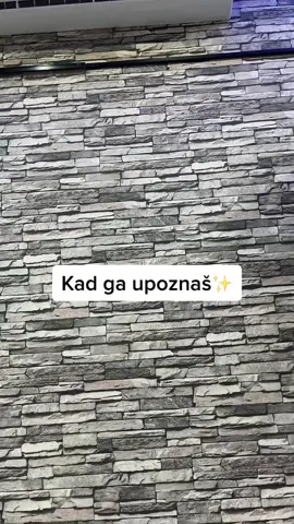 Ko je razumeo, shvatiće☠️#fyp #foryou #smigicka