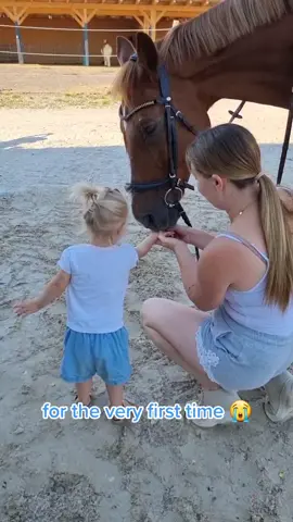 Chiara (1.5) fed Diamiro with treats for the first time today 😭🥰 so far she has had great respect for getting closer to Diamiro, but now she dares more and more and seeks contact. So proud 🙏 #proud #proudmom #girlmom #ridergirls #riderfamily #horsefamily #happy #horse #horses #horselove #horselover #cute #cuteness #cutegirl #childrenandhorses #fy #foryou #foryoupage #viral #sweet #ridingmom #barn #stable #horsegirl 