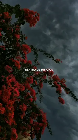 🦋#rolitas #aesthetic #letras #fypシ  #chachachá